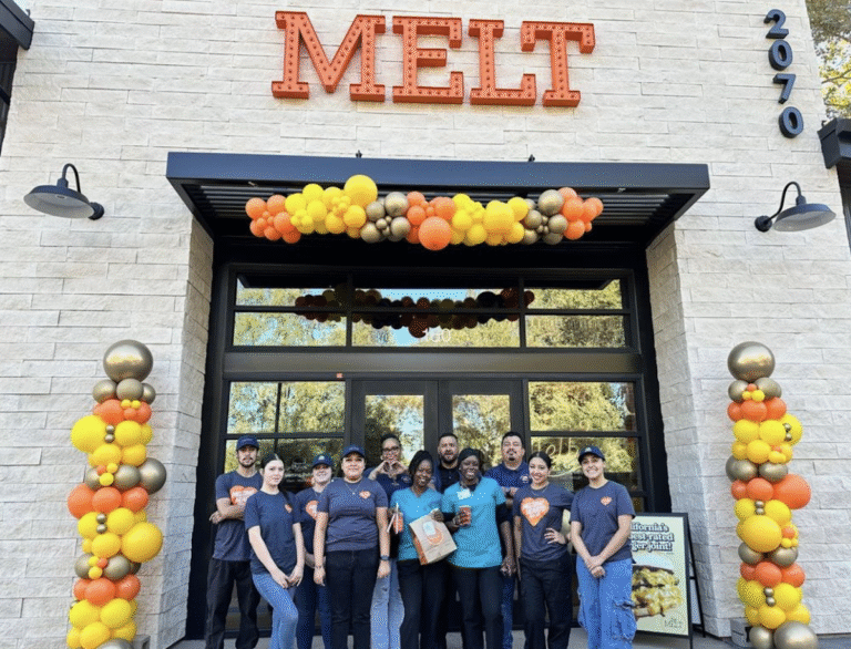 the melt 768x586